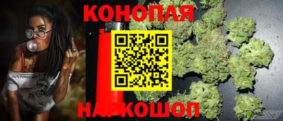 марихуана Будённовск