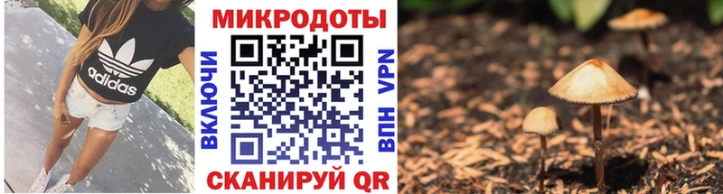 MEGA рабочий сайт  где продают наркотики  Гурьевск  Псилоцибиновые грибы Magic Shrooms 