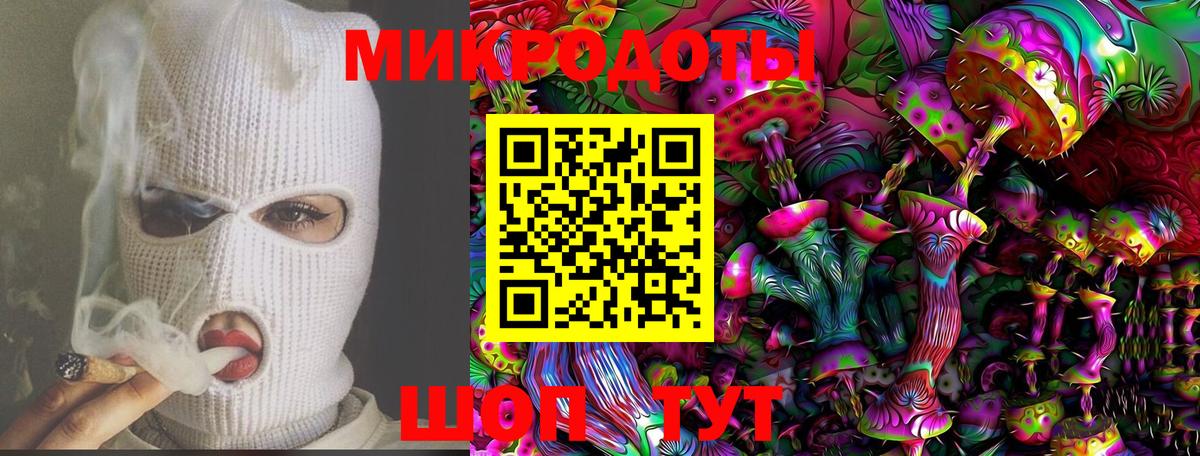 Галлюциногенные грибы Psilocybine cubensis Гурьевск