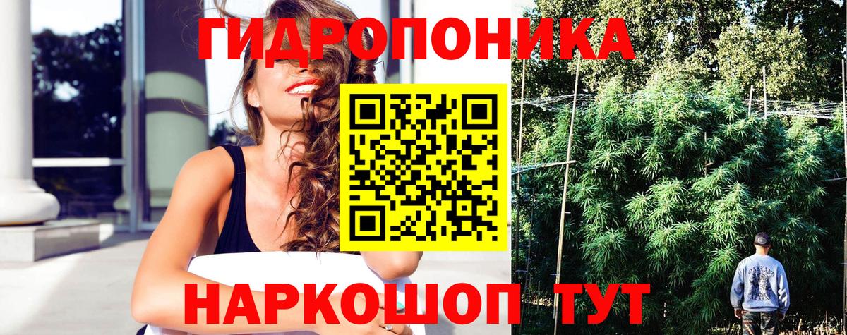Гурьевск  Каннабис THC 21%  Каннабис Amnesia  Вход с VPN  МАРИХУАНА ГИДРОПОН  Конопля Bruce Banner 